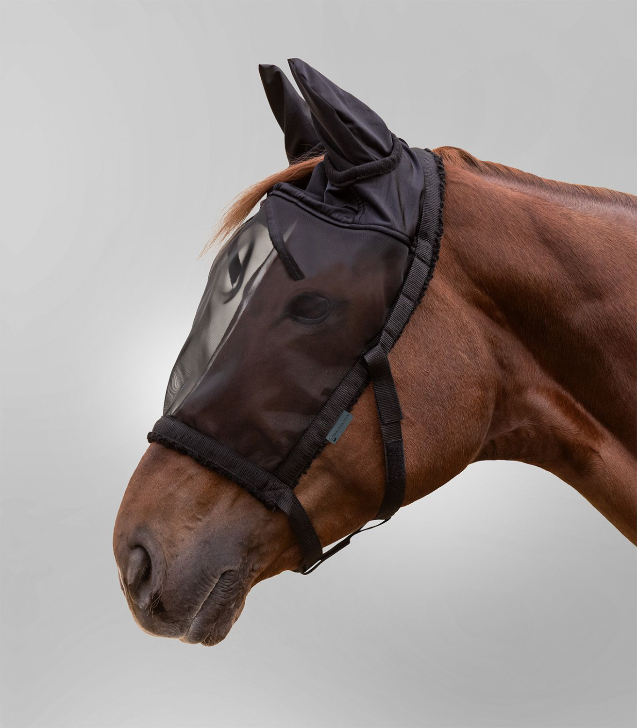 Waldhausen Halter with Fly Mask