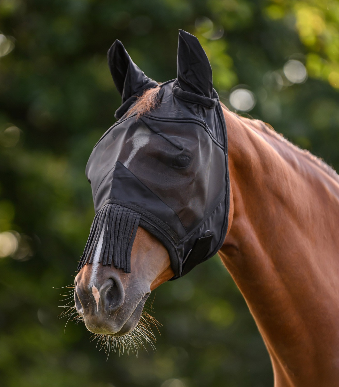 Waldhausen Premium Fly Mask with Ears and Fringes
