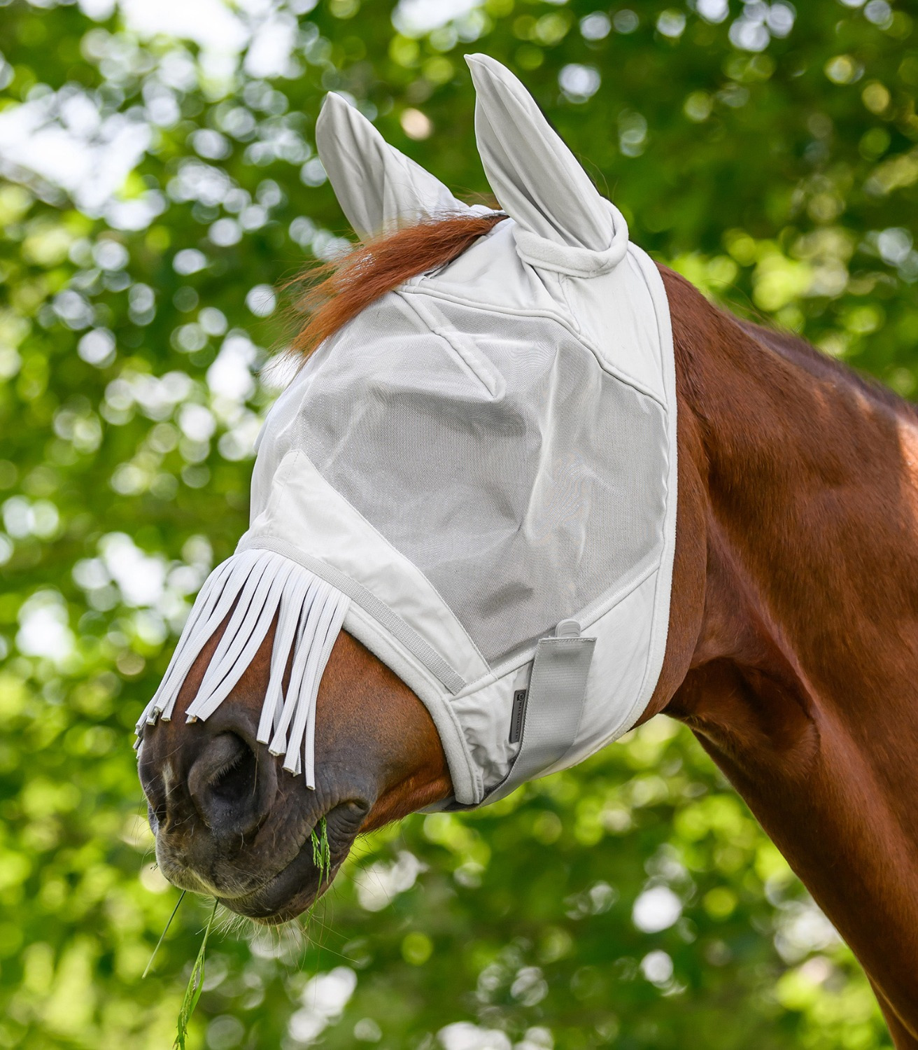 Waldhausen Premium Fly Mask with Ears and Fringes