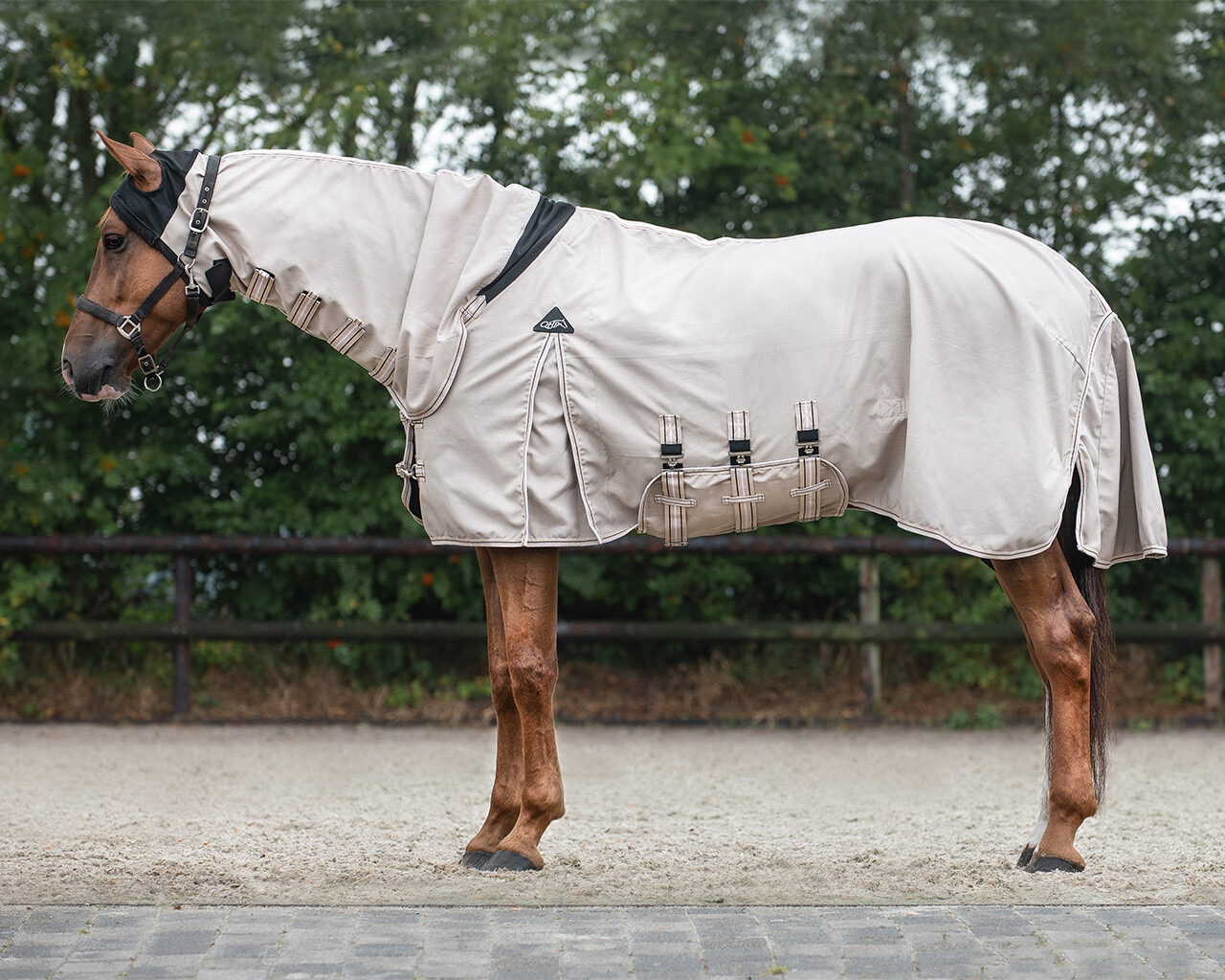 QHP Sweet Itch Rug Hoodie