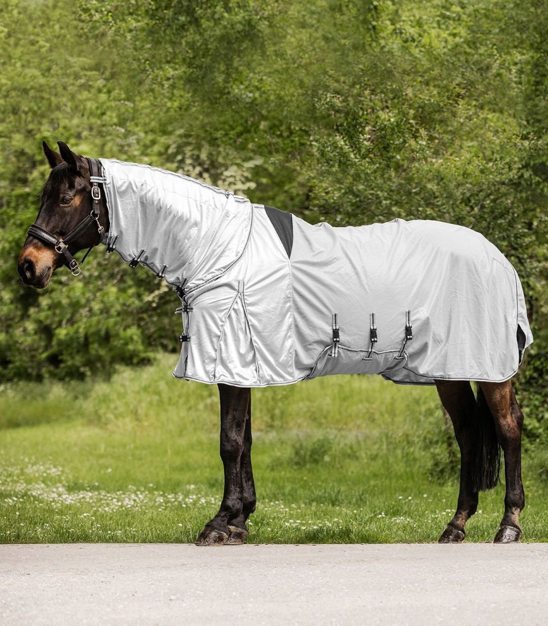 Waldhausen PROTECT Sweet Itch Rug