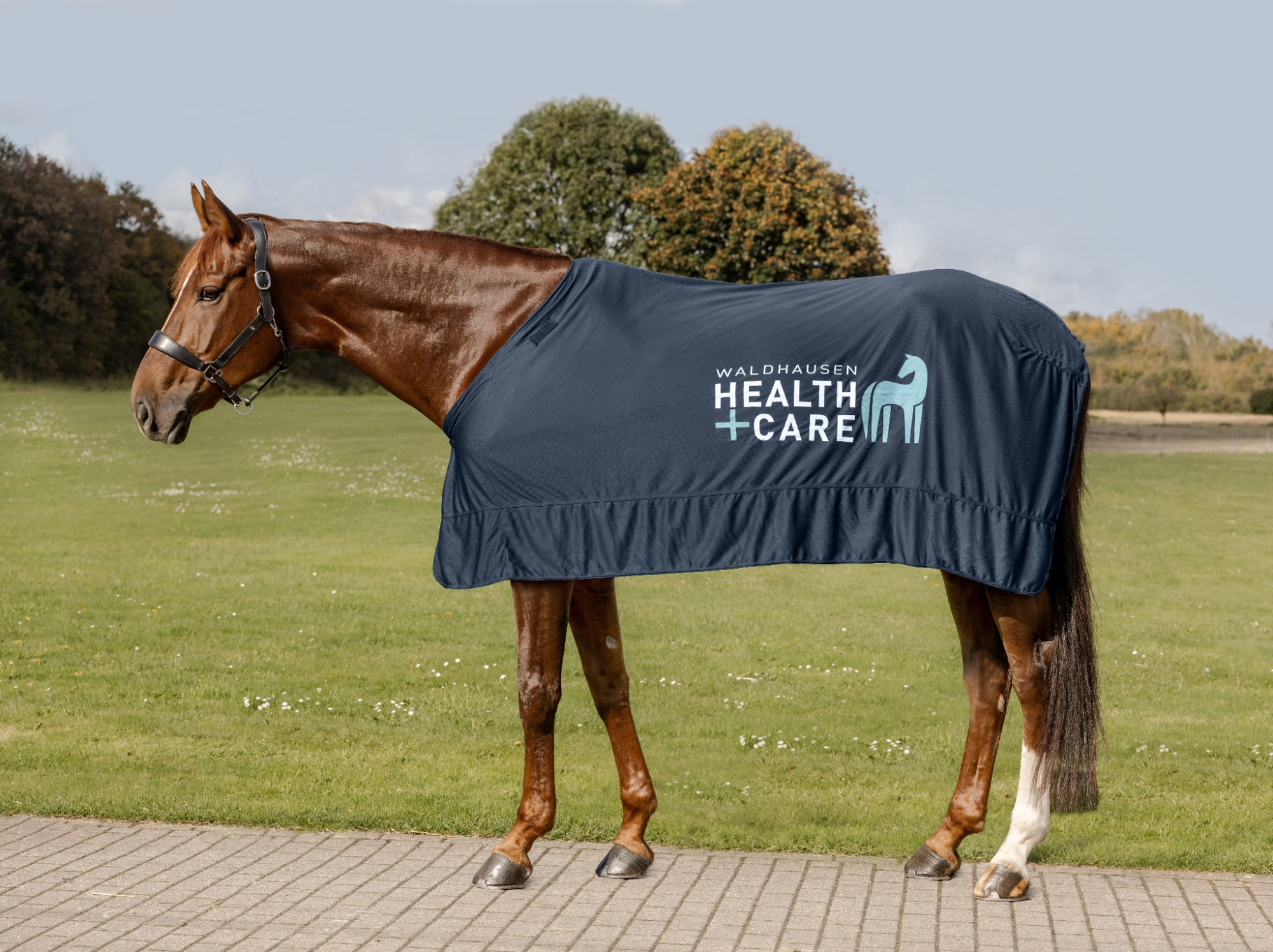 Waldhausen W-Health & Care Ice Layer Kühldecke