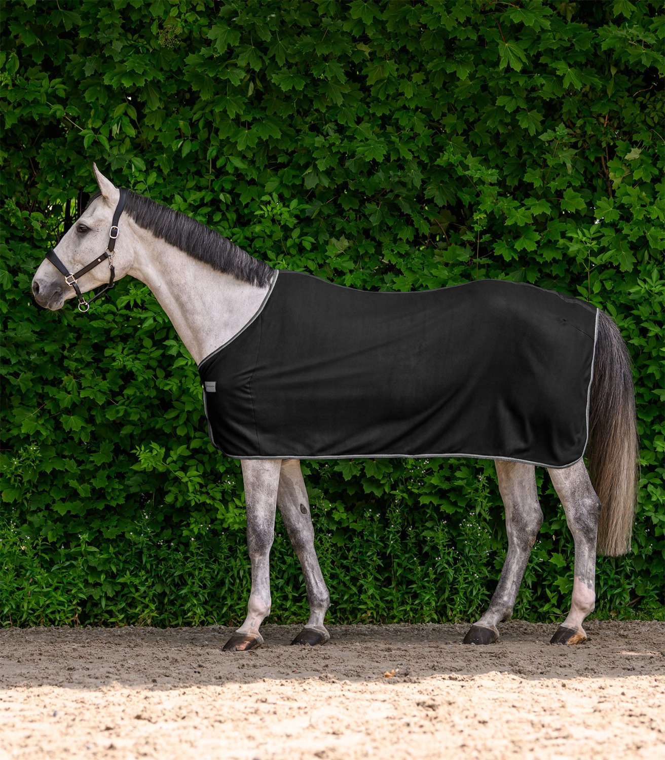 Waldhausen Fleece Rug Economic