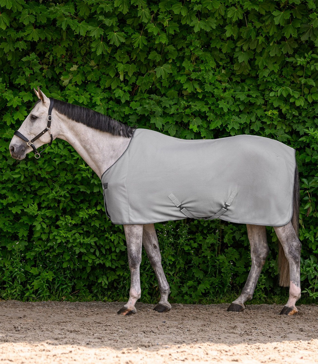 Waldhausen Fleece Rug with surcingles Economic