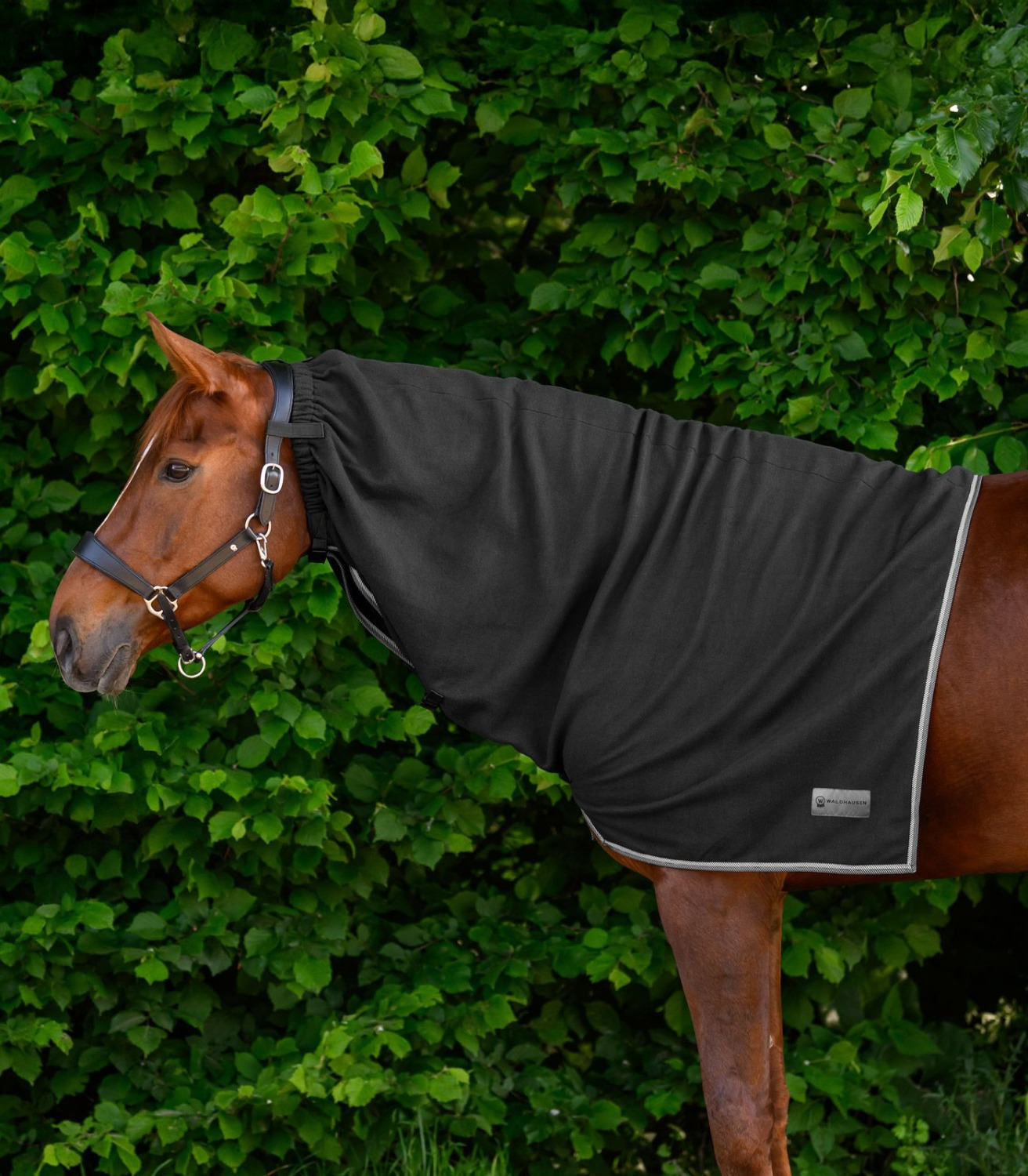 Waldhausen Neck Fleece Economic
