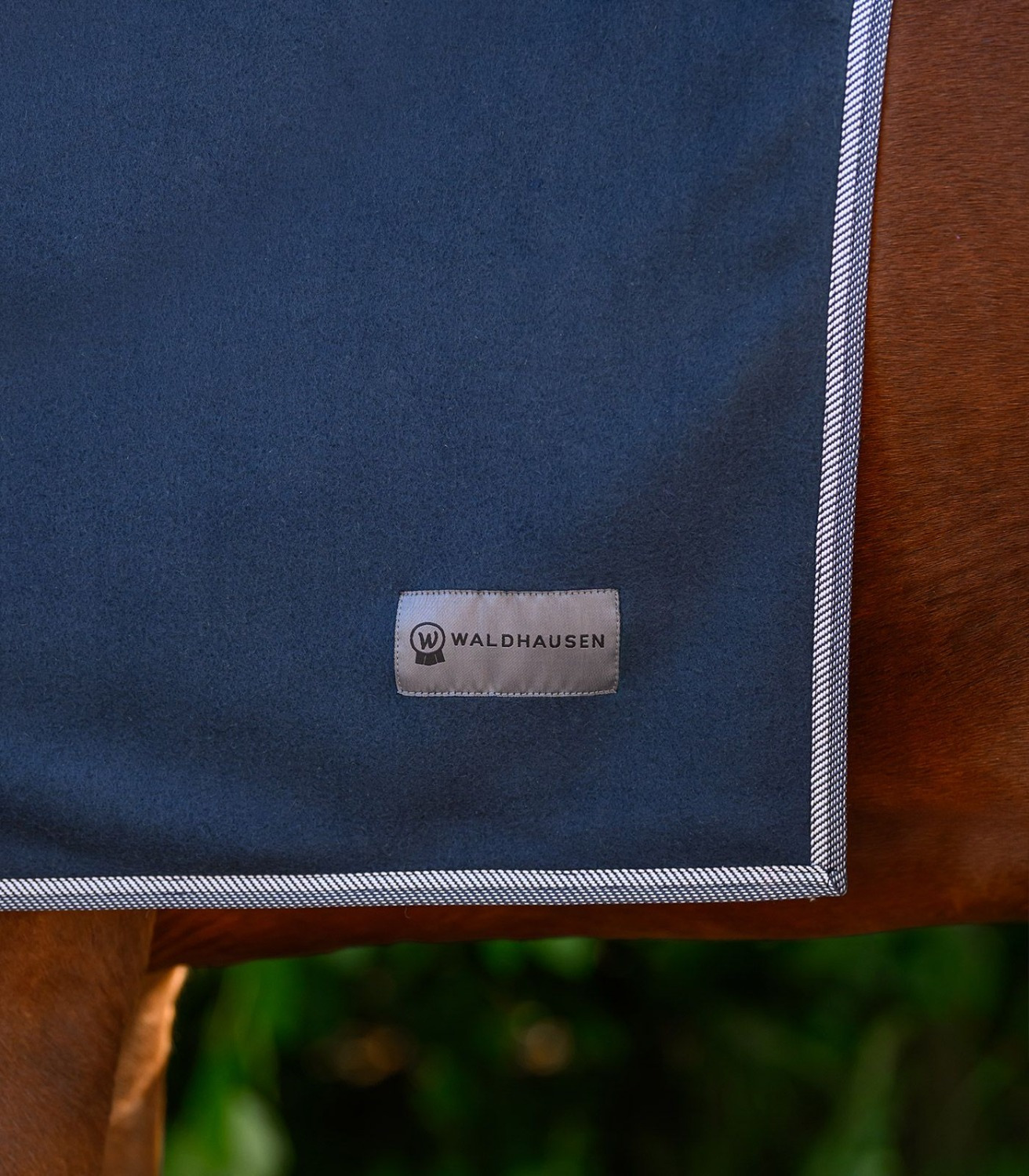 Waldhausen Neck Fleece Economic