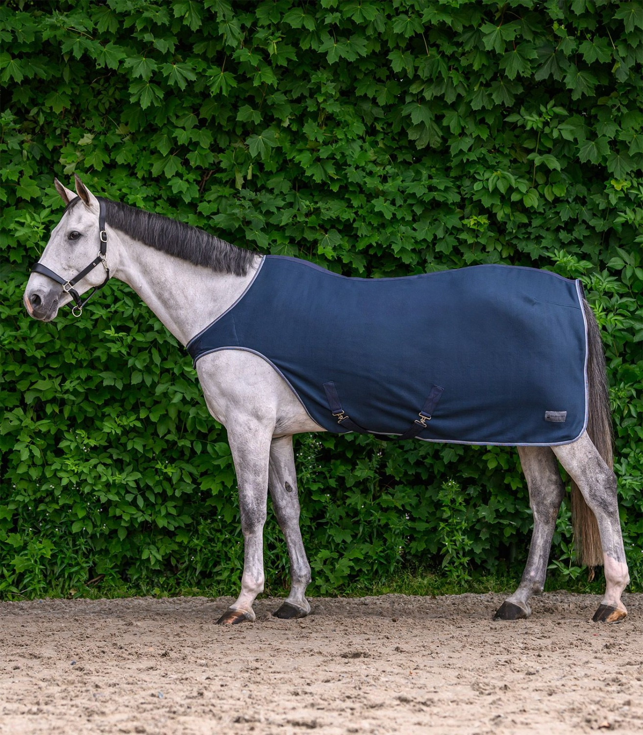 Waldhausen Walker Rug Fleece Economic