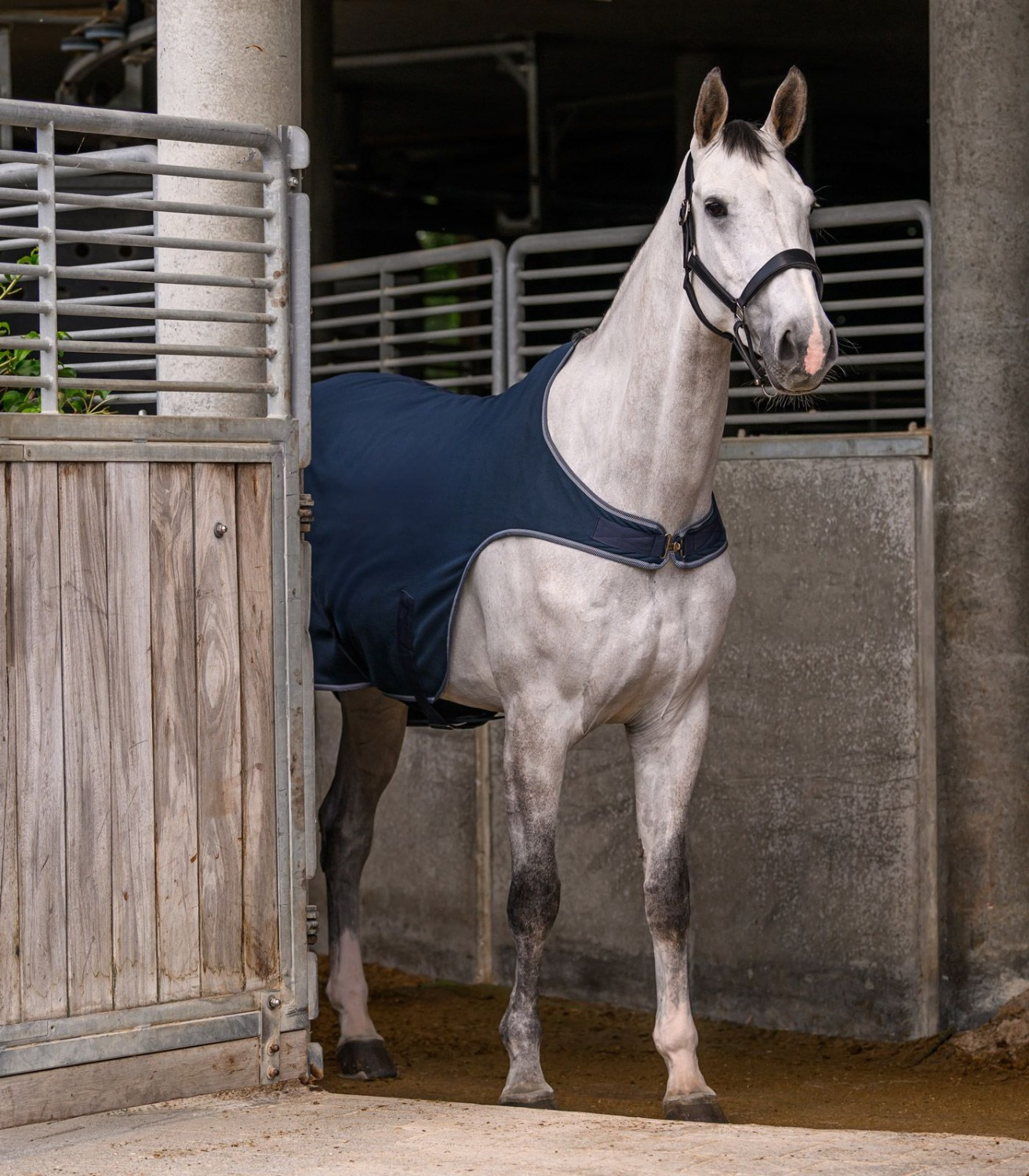 Waldhausen Walker Rug Fleece Economic