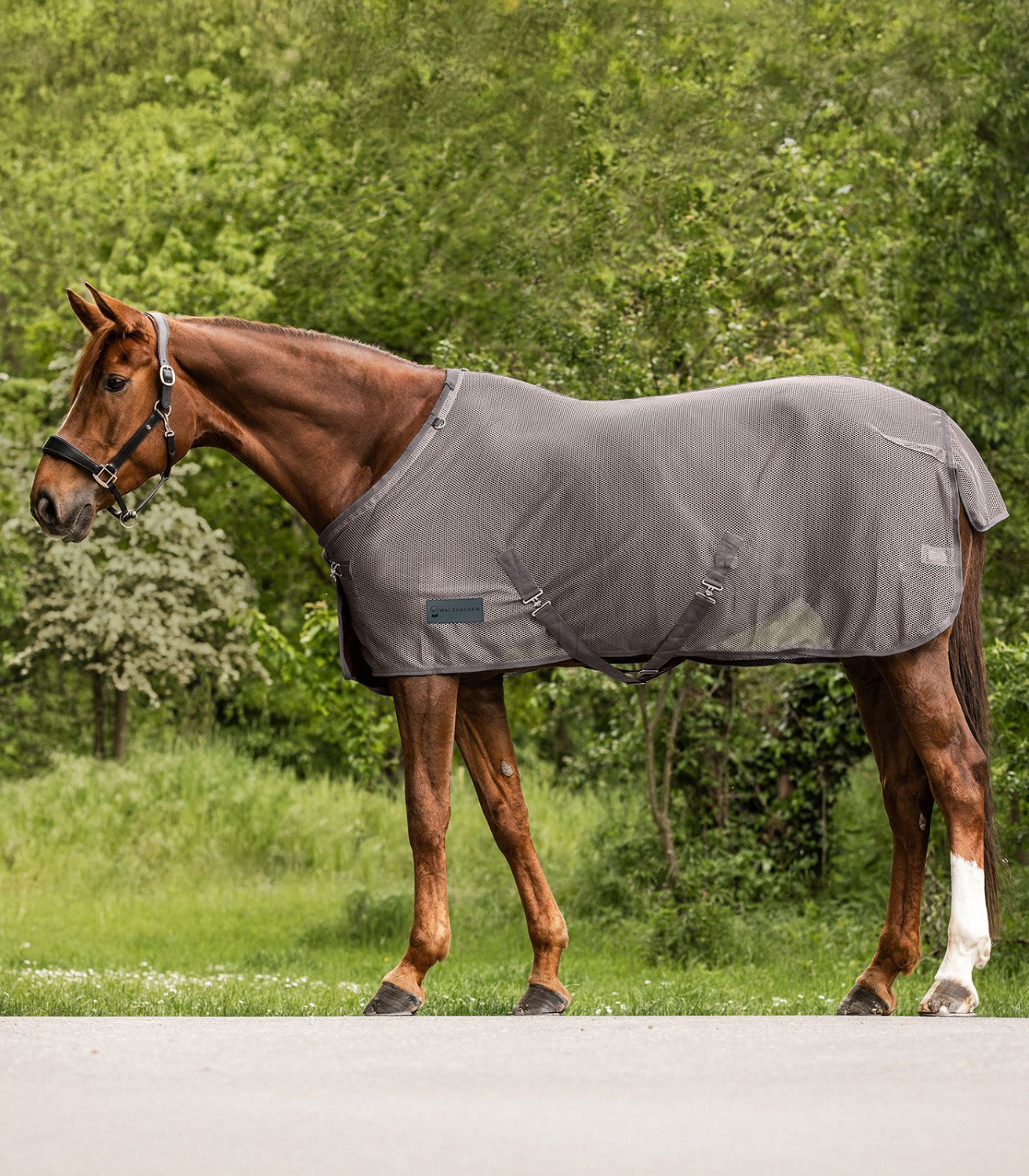 Waldhausen Comfort Fly Rug with Cross Surcingles