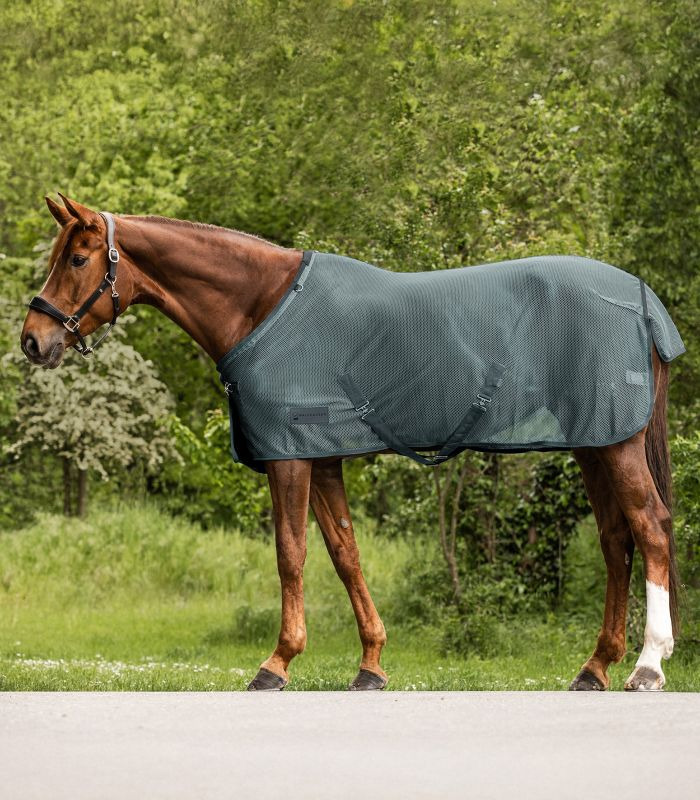 Waldhausen SS26 Comfort Fly Rug with Surcingles