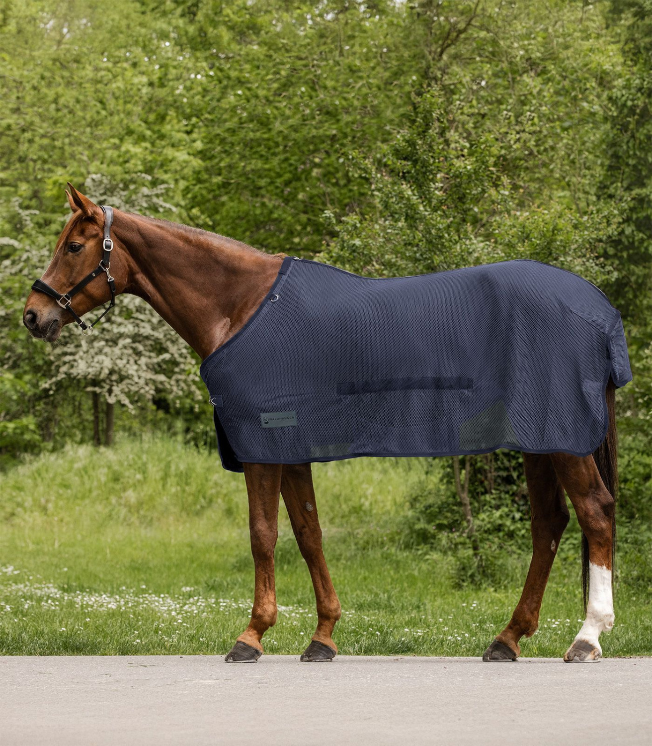 Waldhausen Comfort Fly Rug with Belly Flap