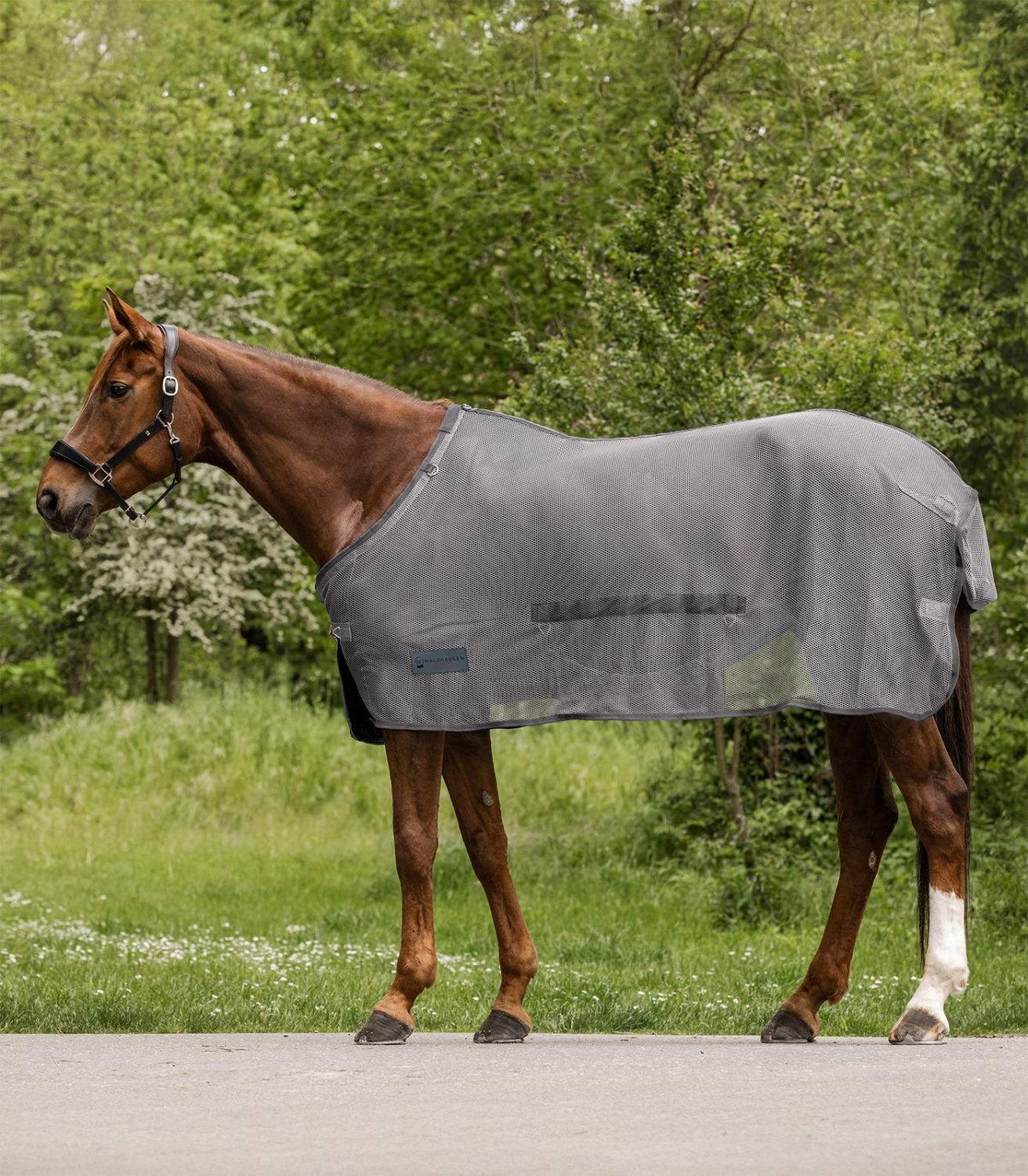 Waldhausen Comfort Fly Rug with Belly Flap