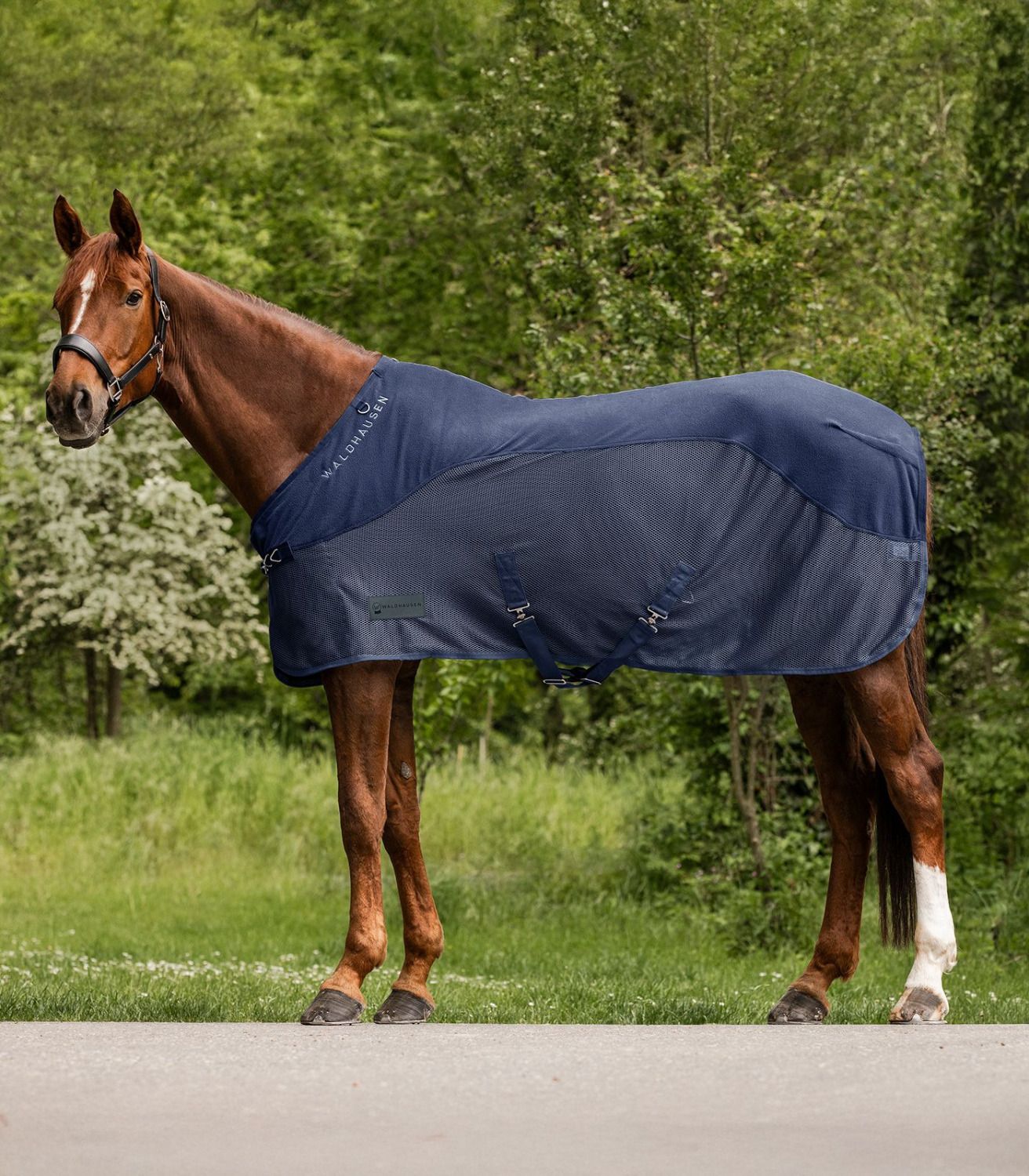 Waldhausen Comfort Fleece/Fly Rug