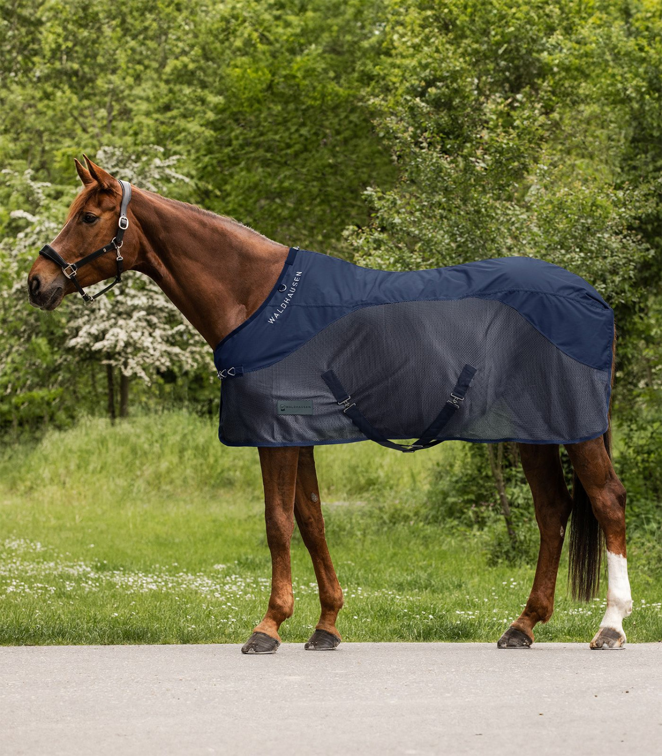 Waldhausen Comfort Rain/Fly Rug