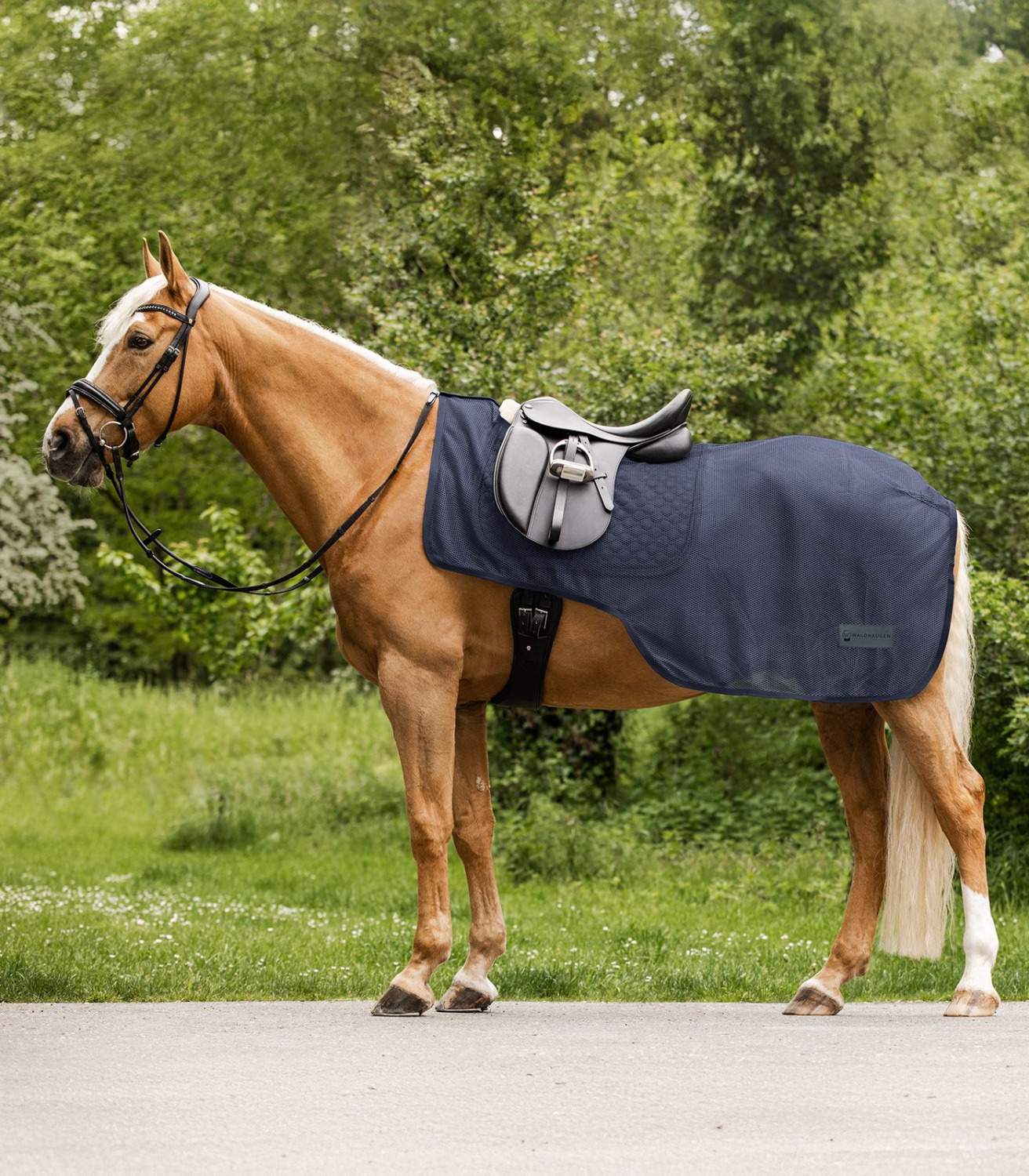 Waldhausen Comfort Fly Rug