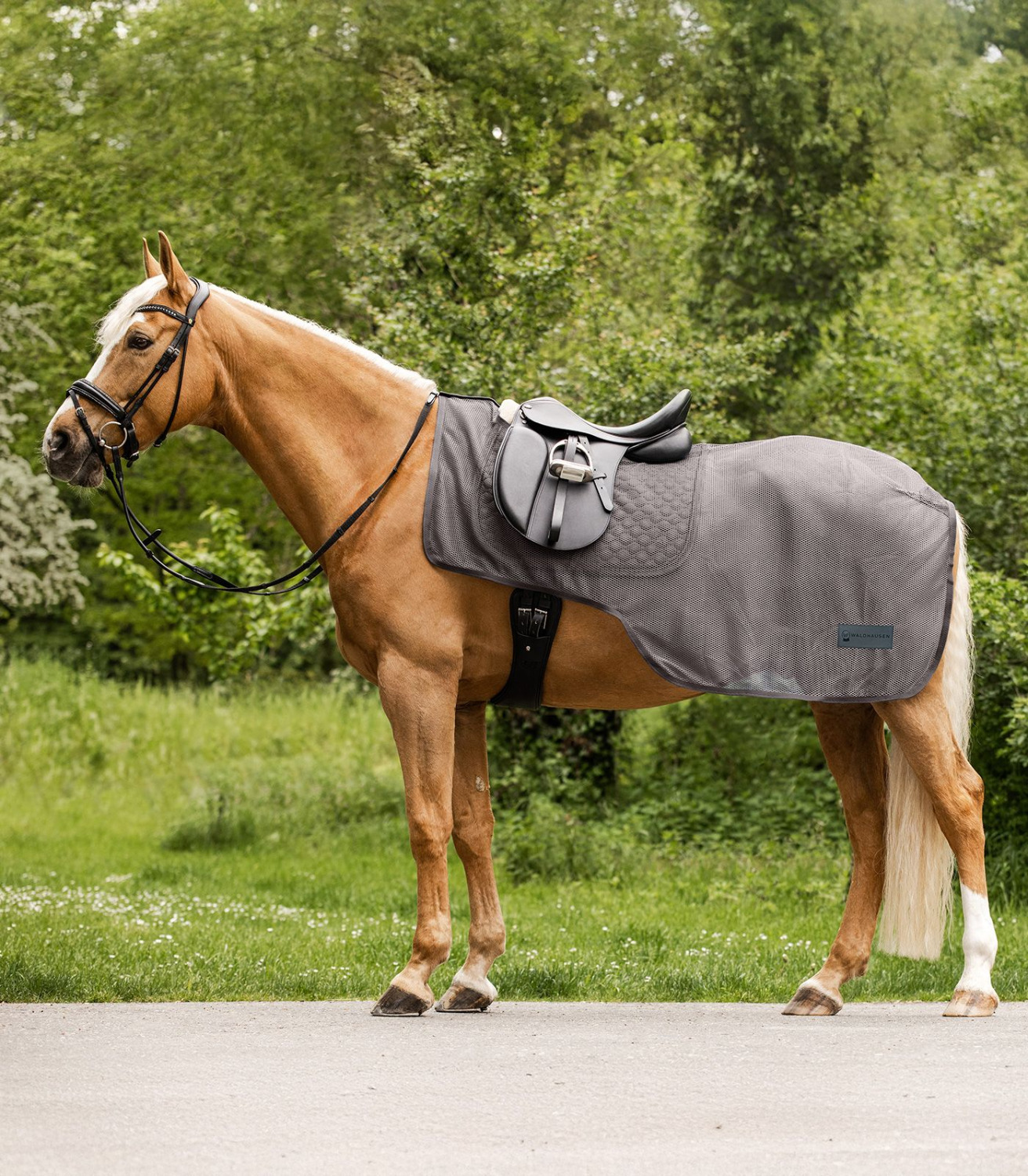 Waldhausen Comfort Fly Rug