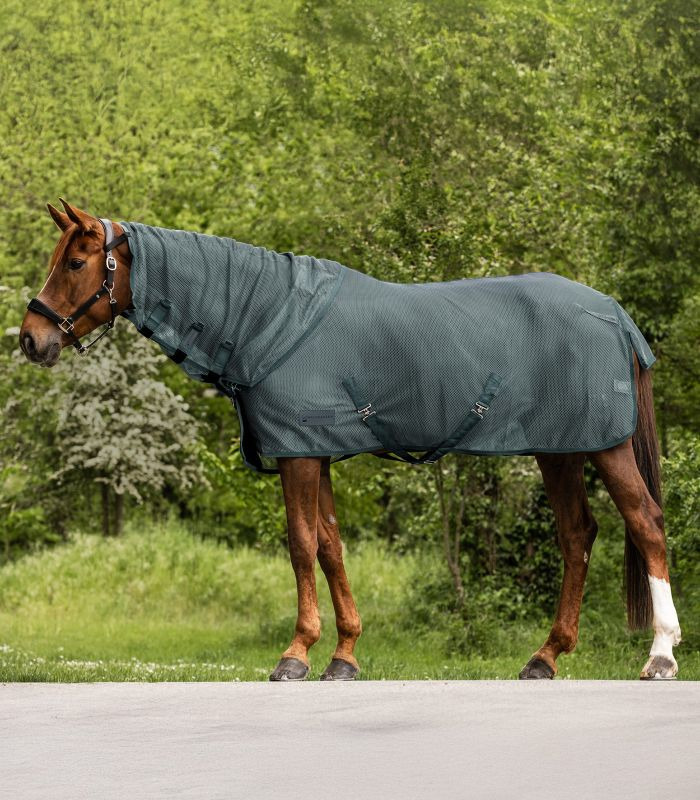 Waldhausen SS26 Neck Part Comfort Fly Rug