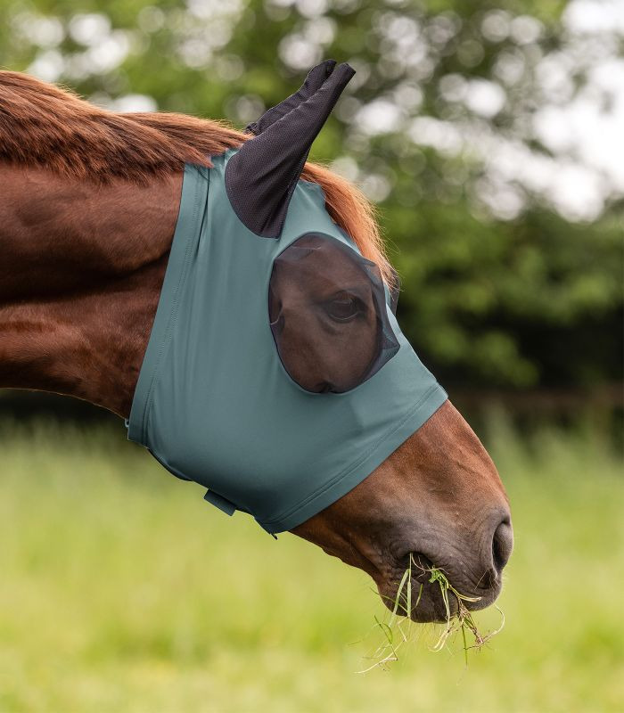 Waldhausen SS26 Fly Mask Puck