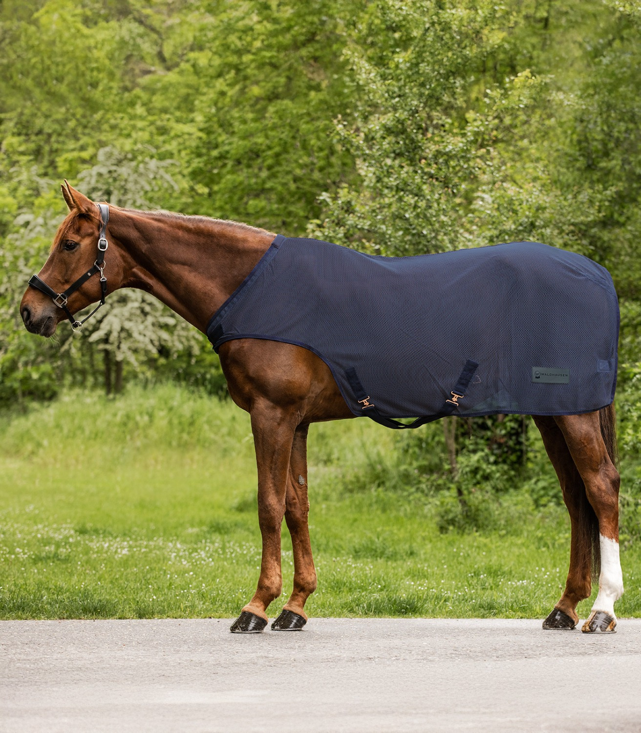 Waldhausen Fly-Horsewalker Rug 