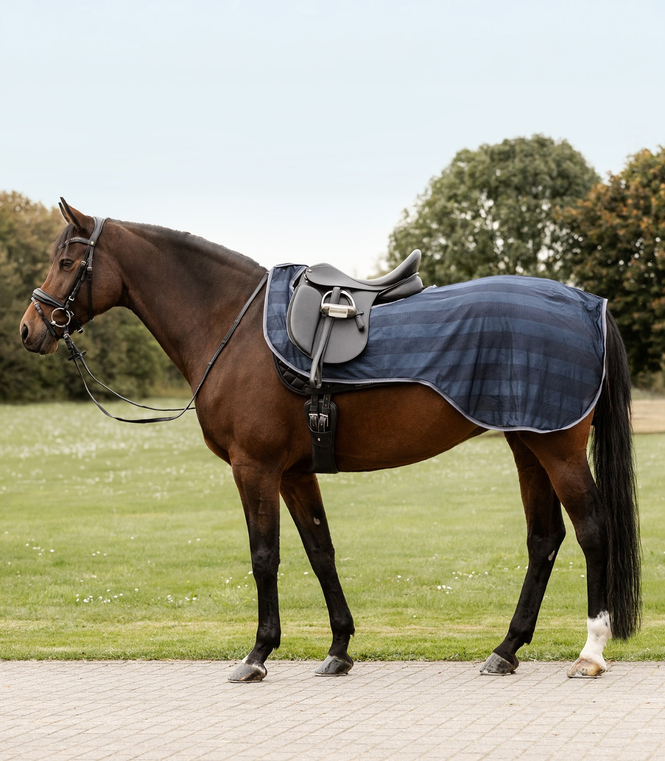 Waldhausen Fly-walker rug Economic