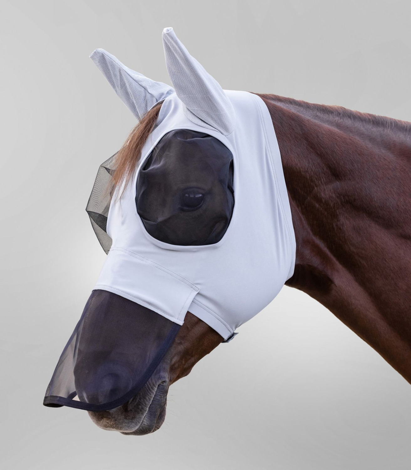 Waldhausen Fly Mask Puck with nose