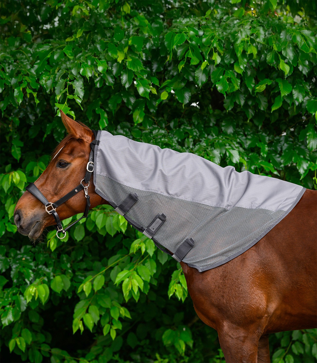 Waldhausen Neck Part Comfort Rain/fly rug 