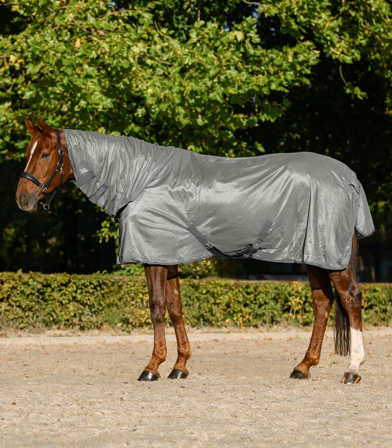 Waldhausen Fly Rug with Neck Part FlyControl