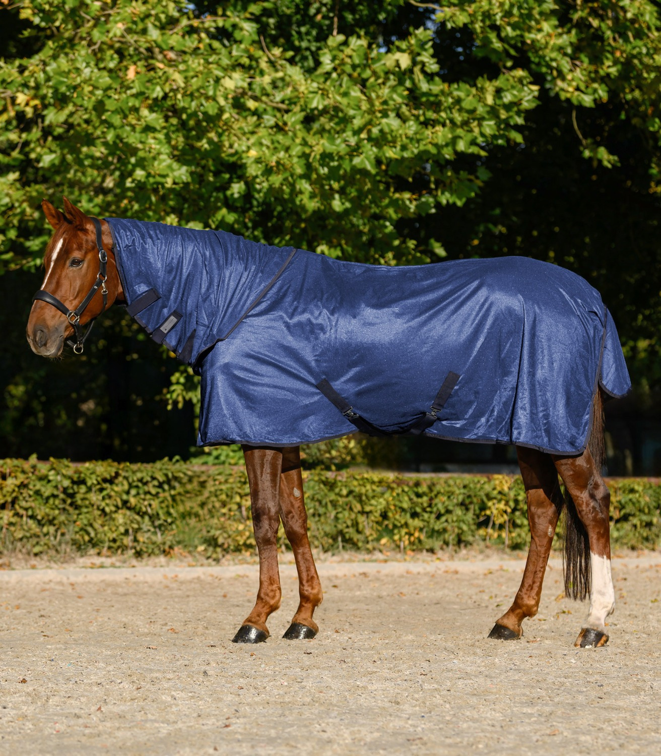 Waldhausen Fly Rug with Neck Part FlyControl