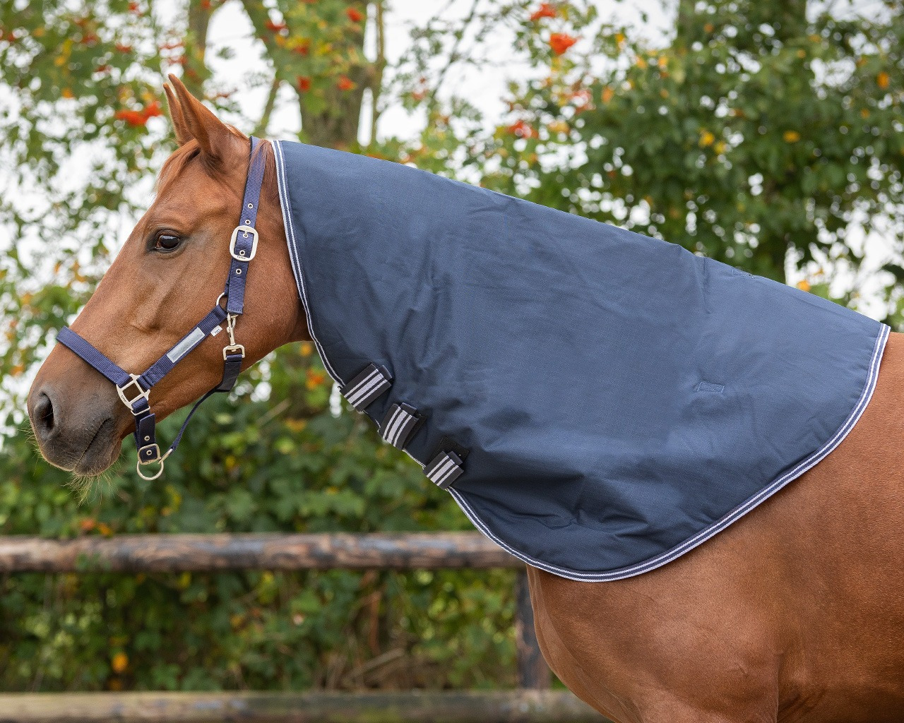QHP Luxury Turnout Separate Neck Cover 200g