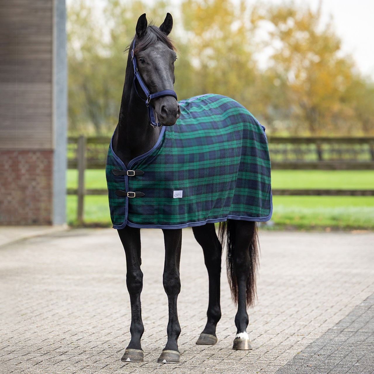 QHP Checked Wool Blanket