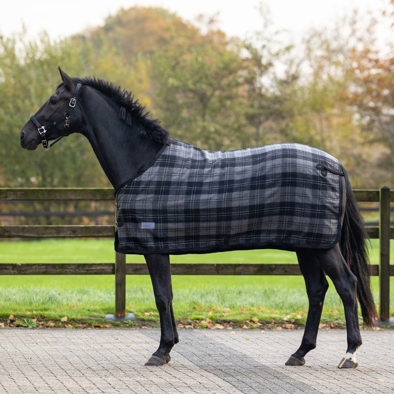 QHP Checked Wool Blanket