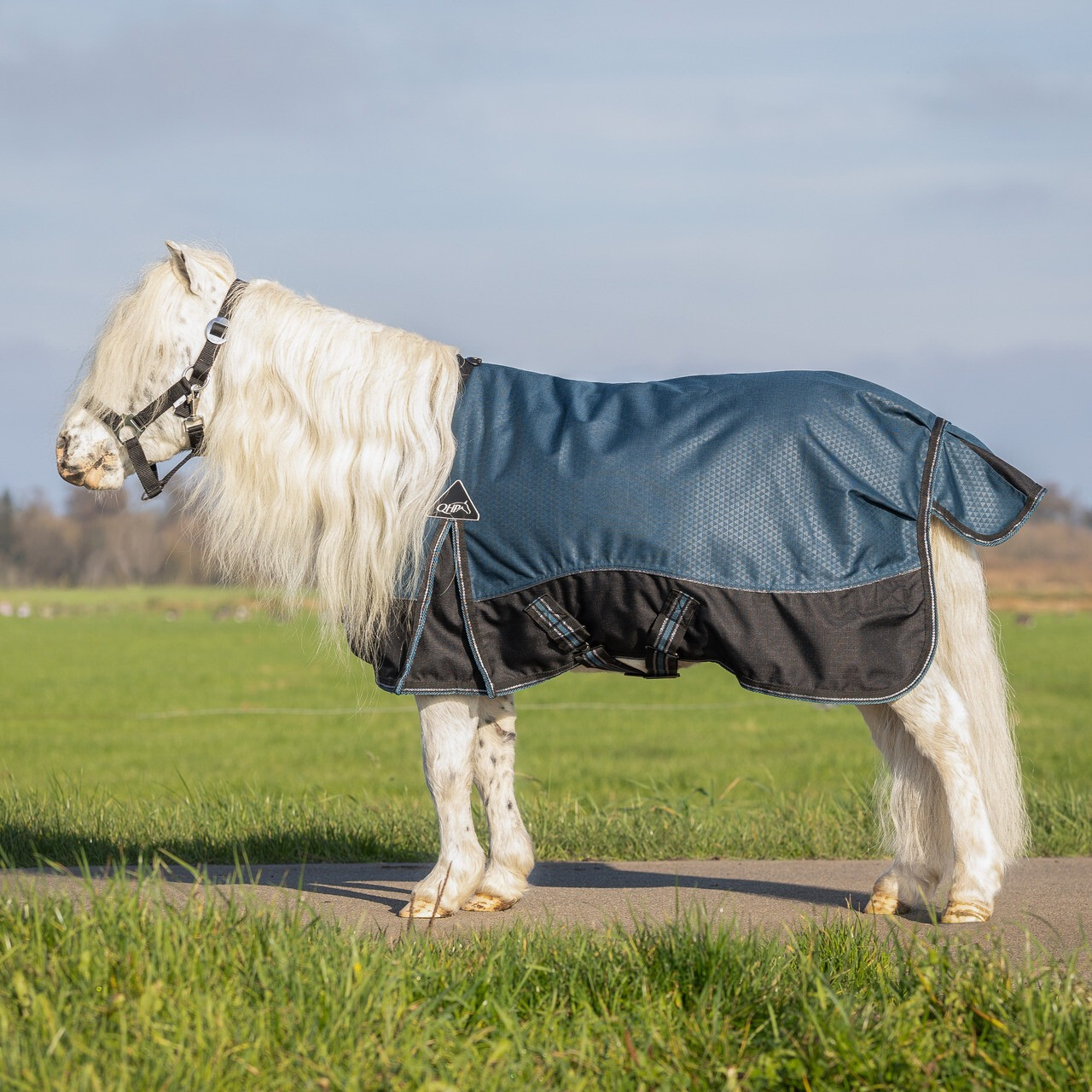 QHP FW25 Rain blanket 1200D Turnout Collection Falabella 50gr