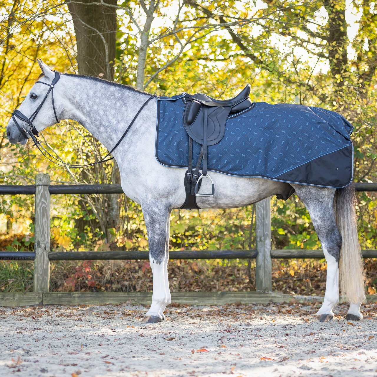 QHP FW25 Exercise Rug 1200D Turnout Collection Fleece