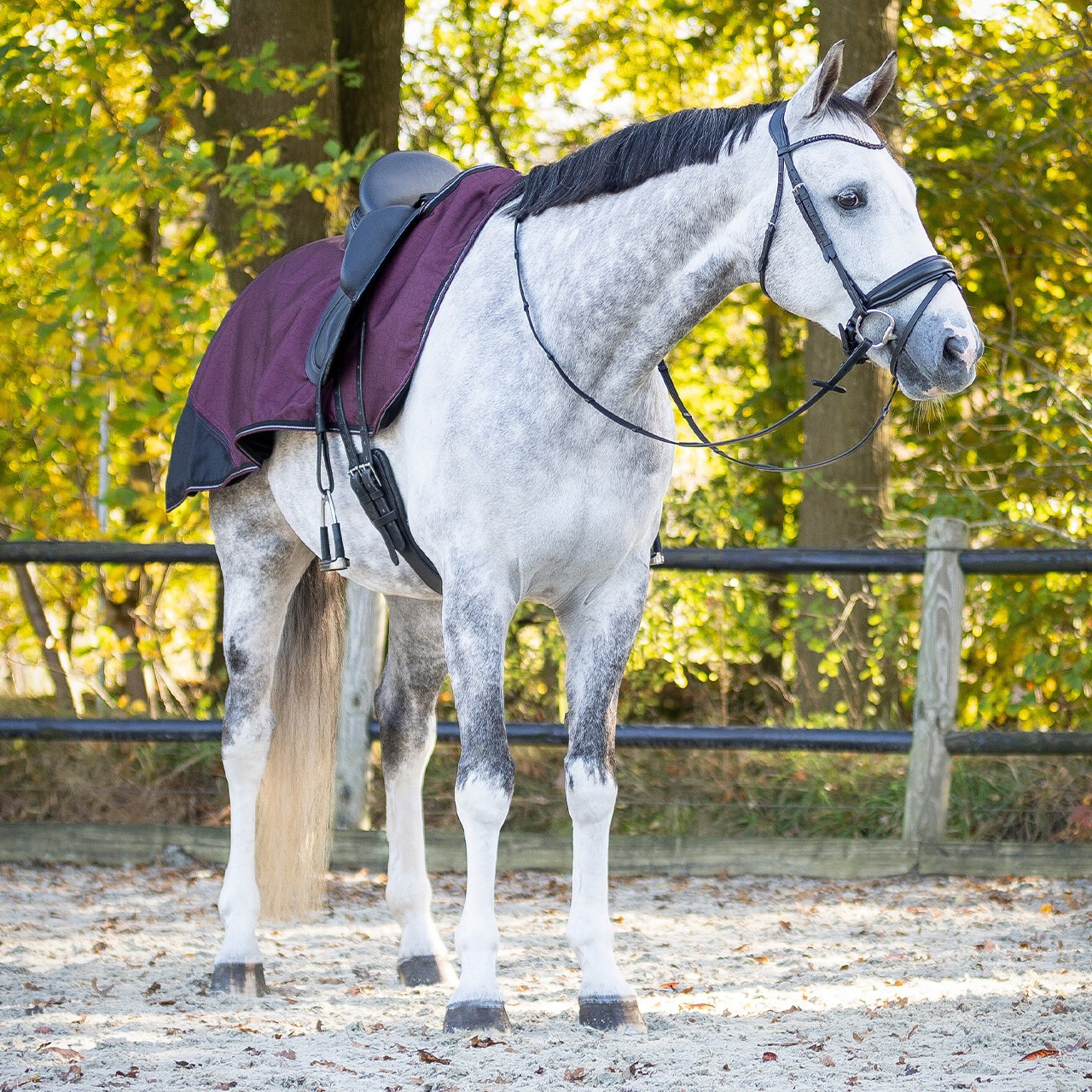 QHP FW25 Exercise Rug 1200D Turnout Collection Fleece