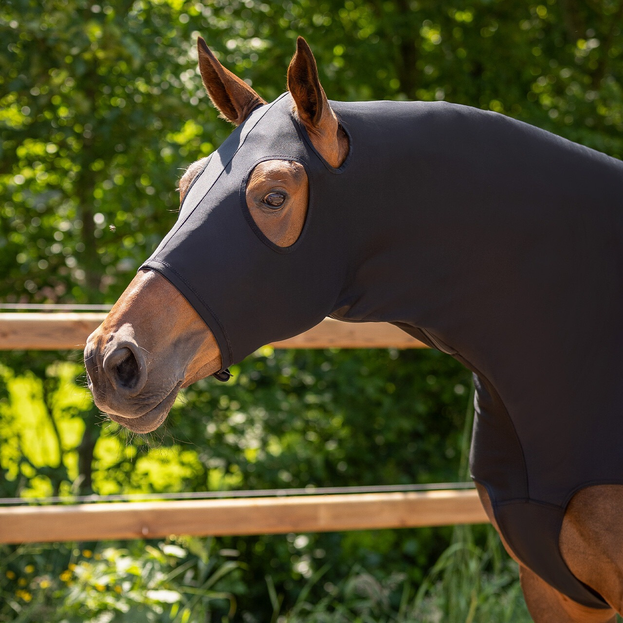 QHP Elastic neck protector with zipper