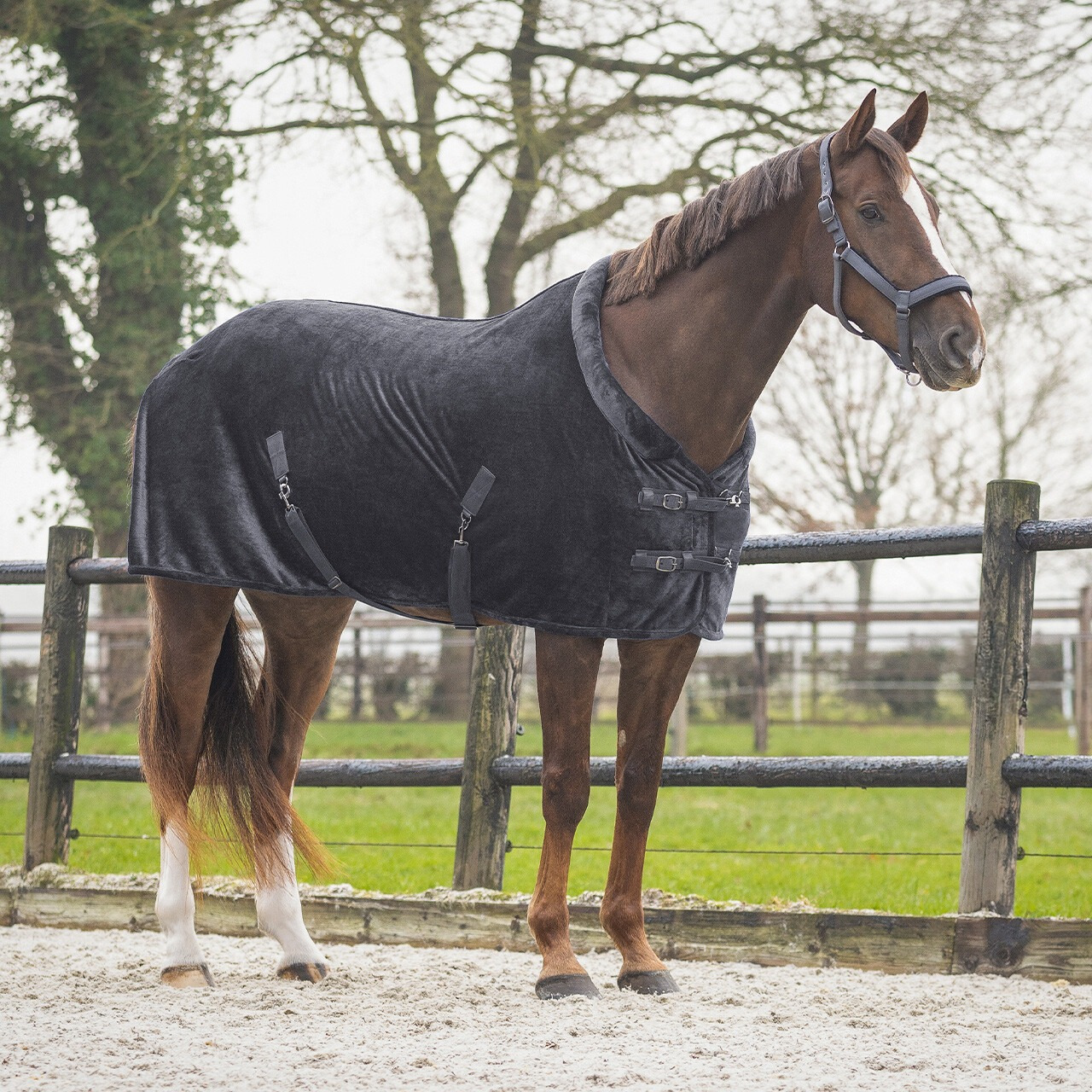 QHP Show Blanket Sensisoft