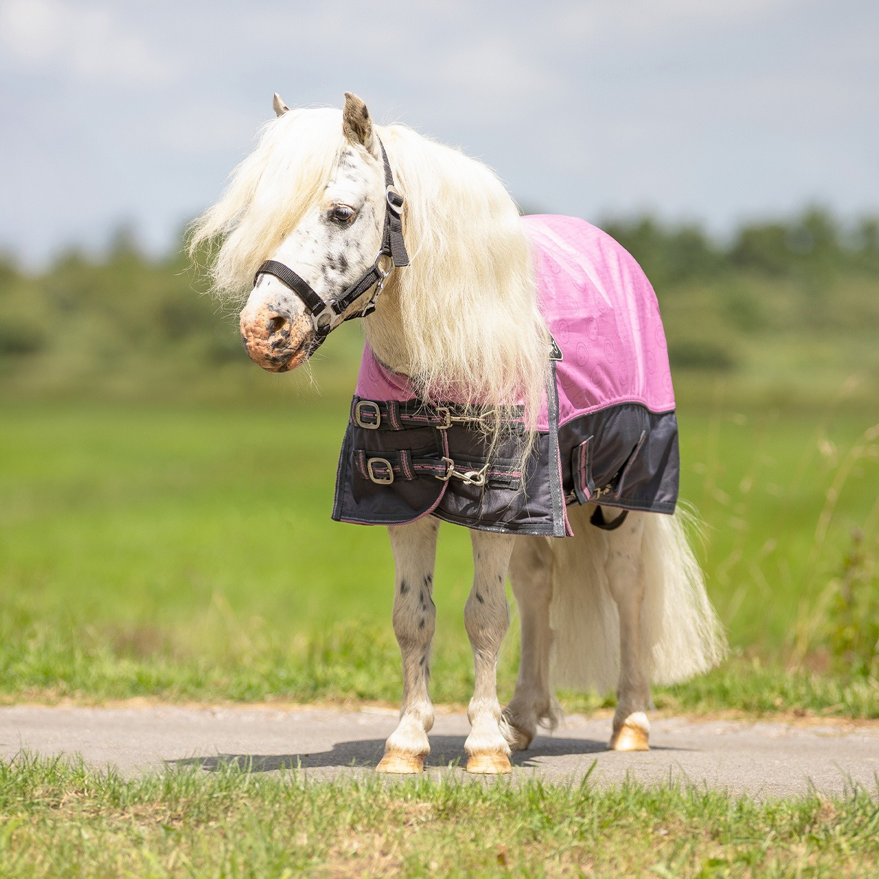 QHP SS26 Turnout rain sheet Falabella collection 0g