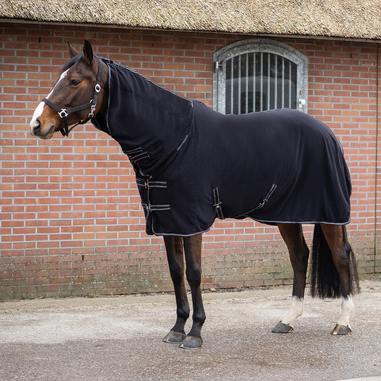 QHP Fleece Blanket Terry-dry