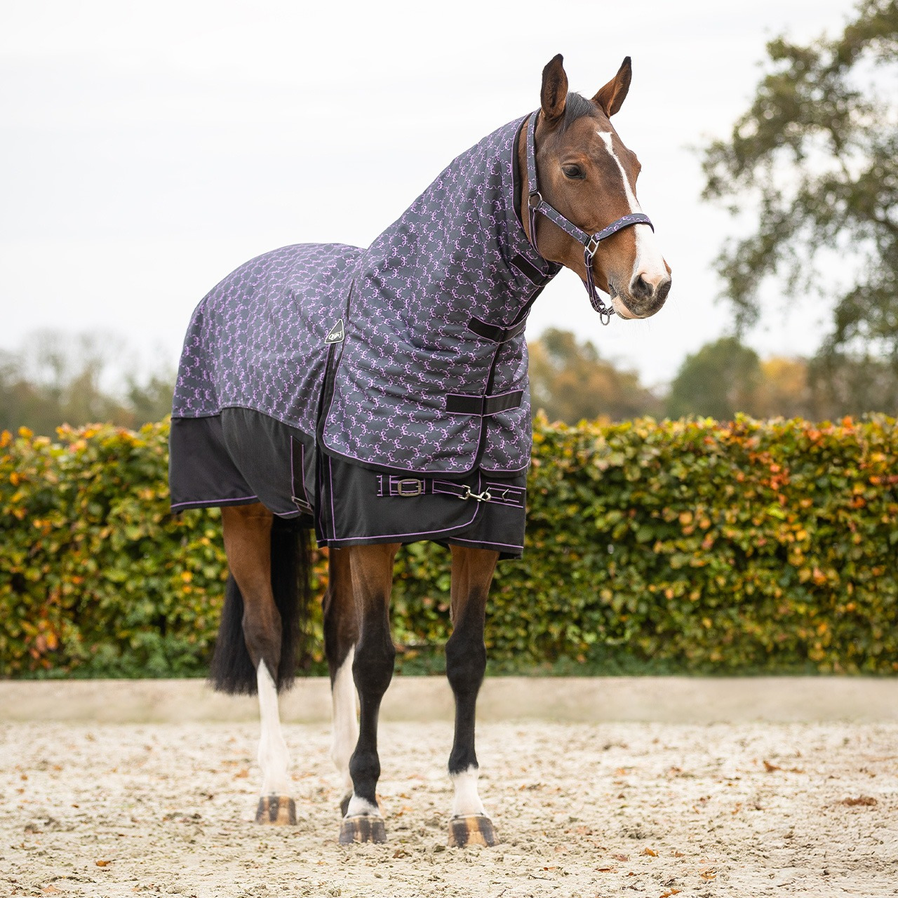 QHP FW26 Turnout Blanket 150 g with Detachable Neck