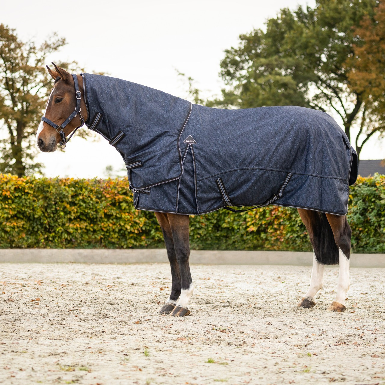 QHP FW26 Turnout Blanket 150 g with Detachable Neck