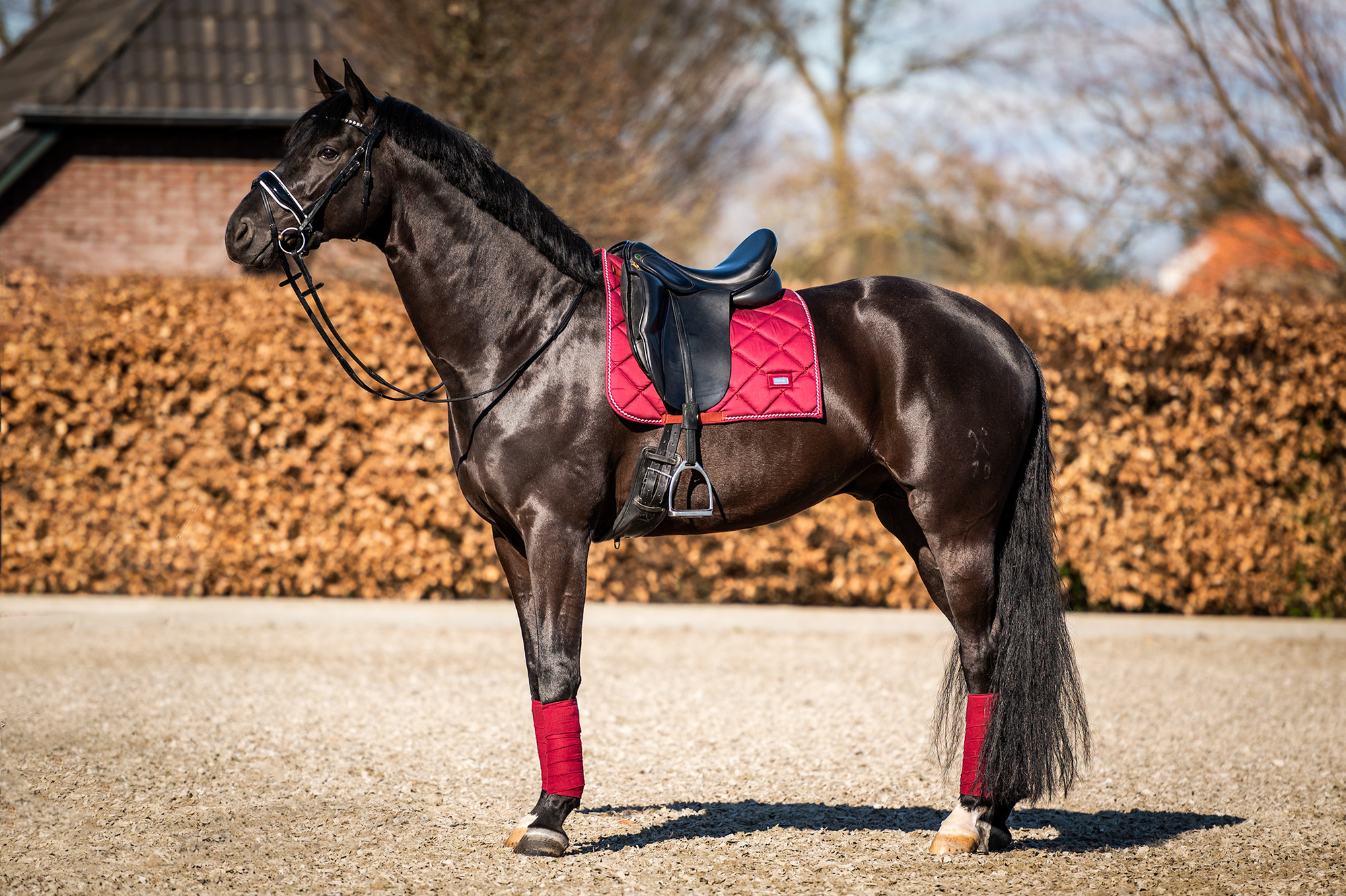 HB Showtime Crown Dressuur Zadeldekje