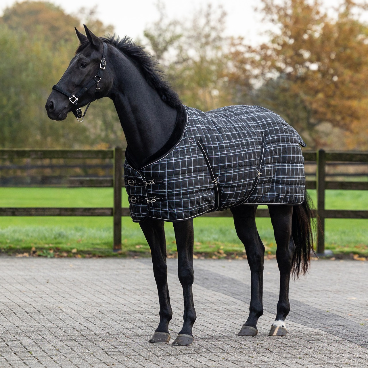 QHP Luxury Stable Rug 250 g