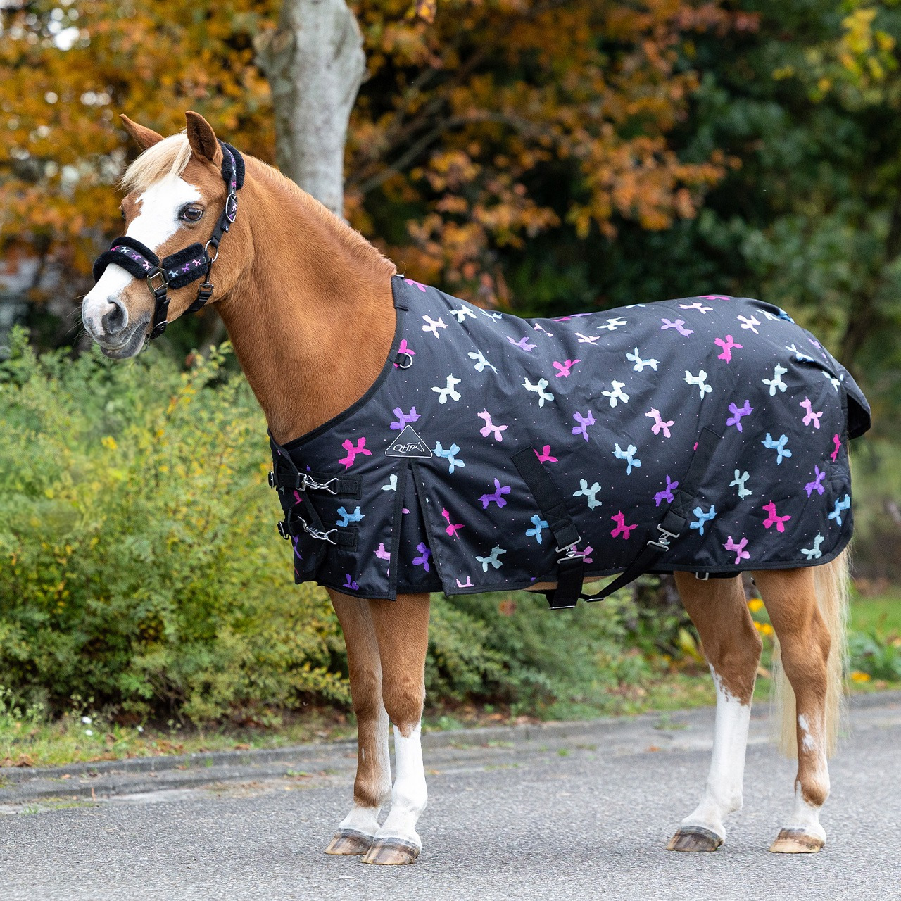 QHP FW26 Isalyn Turnout Rug 100 g
