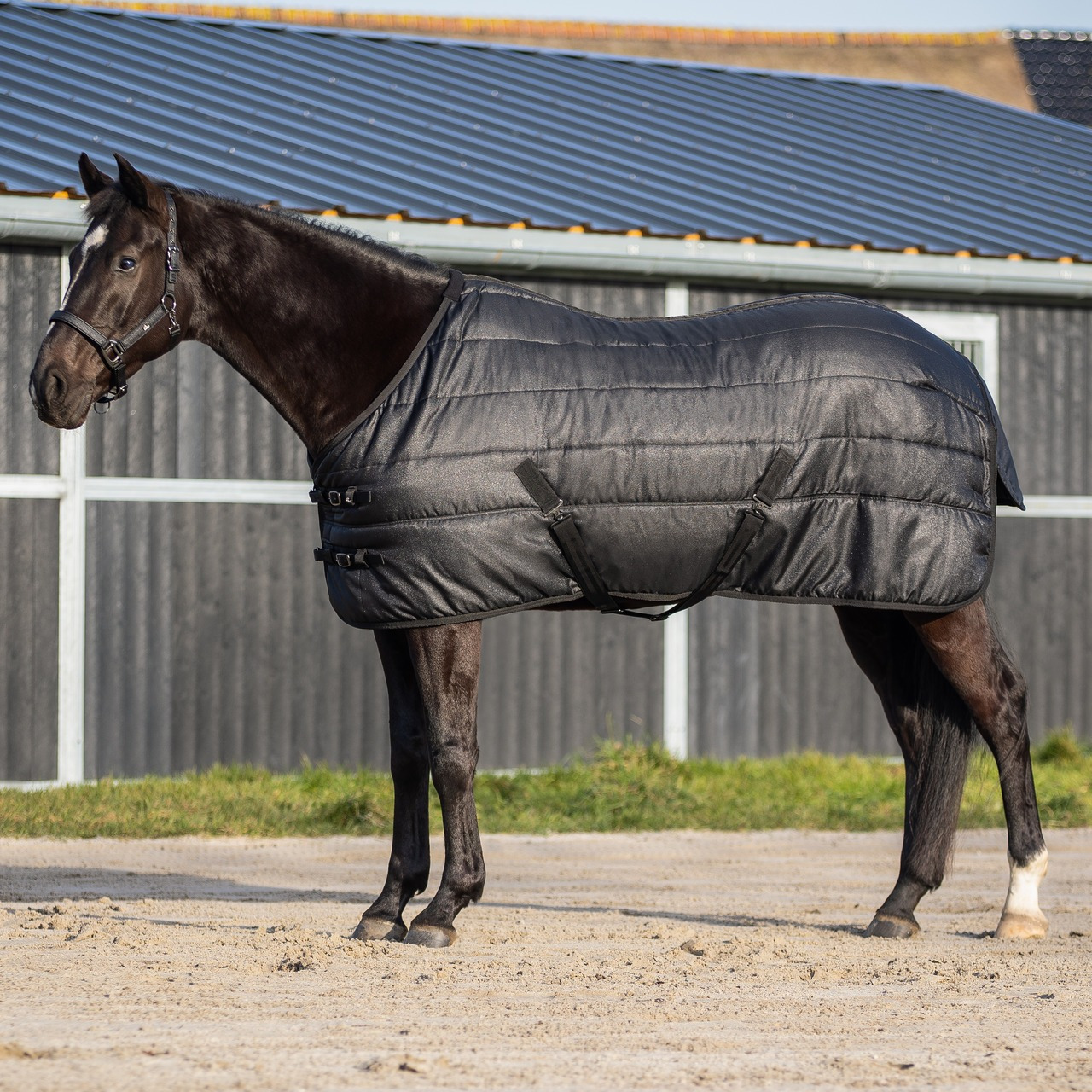 QHP Stable Rug Glitter 150 g