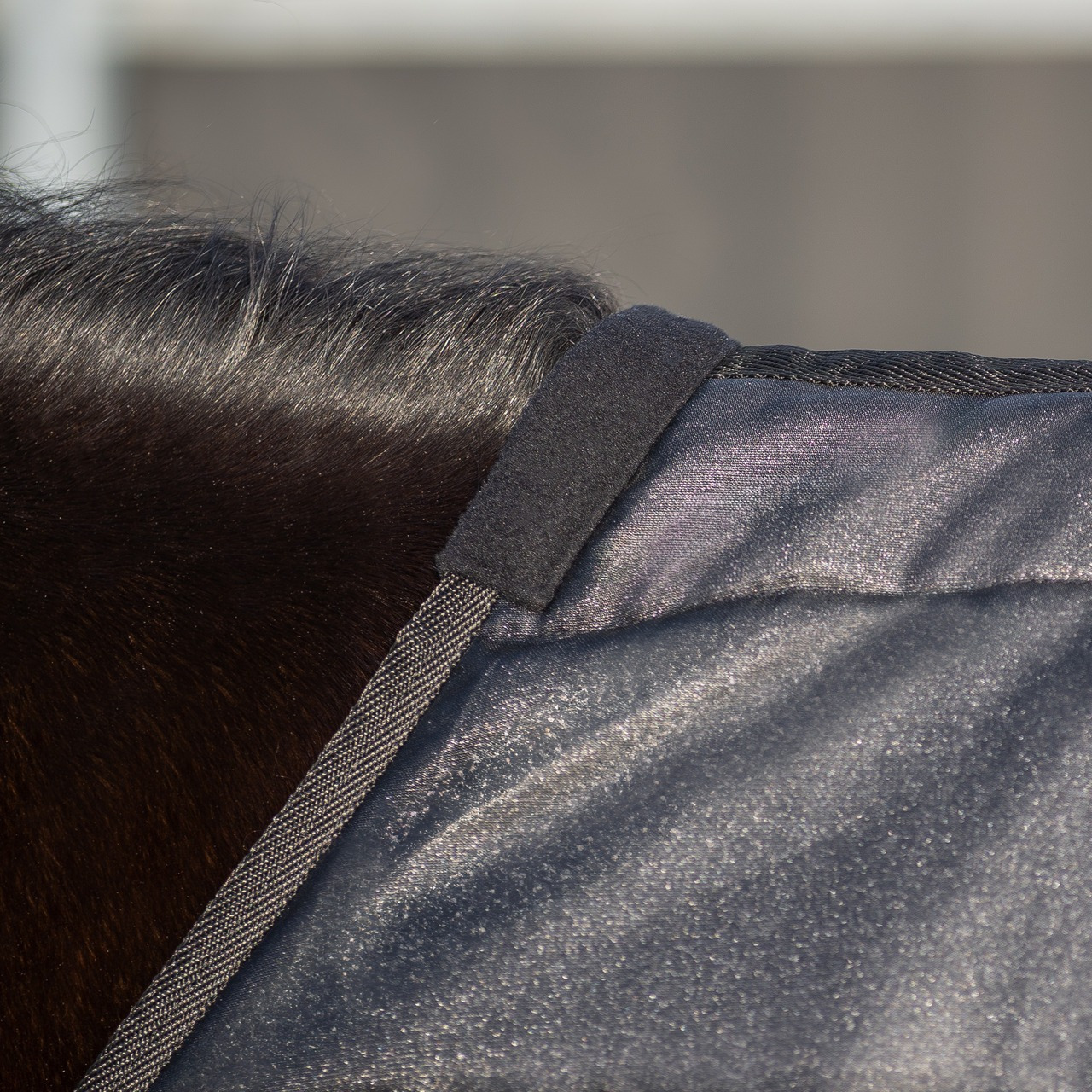 QHP Walker Blanket Glitter 100gr