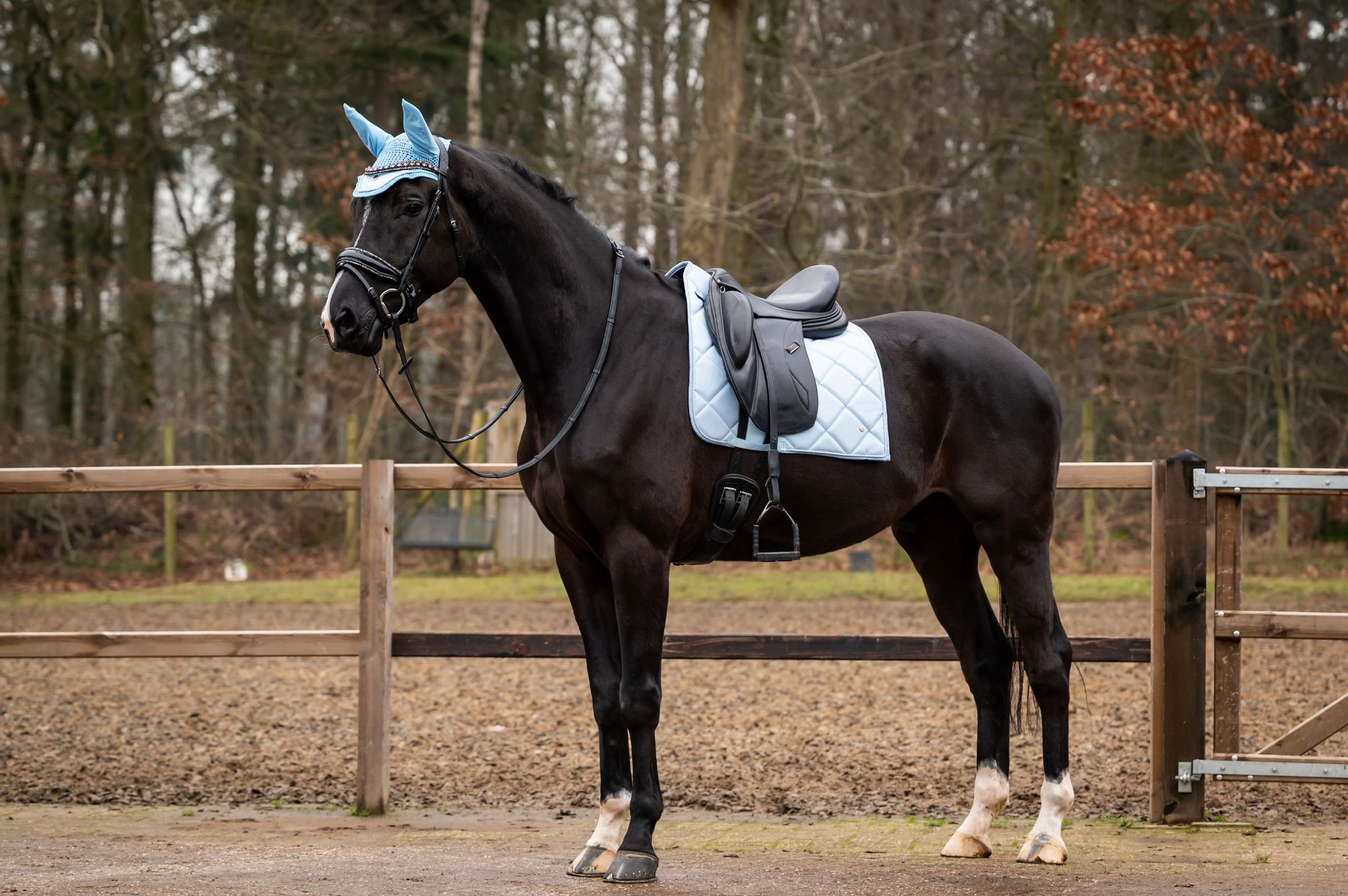 HB Showtime Saddle Pad Spring Collectie