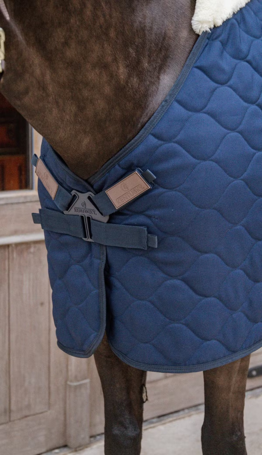 Kentucky Comfort Buckle