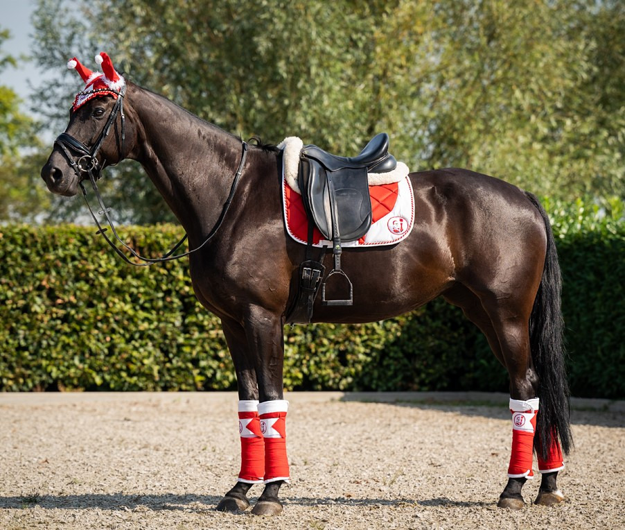 HB Saddle Pad Christmas