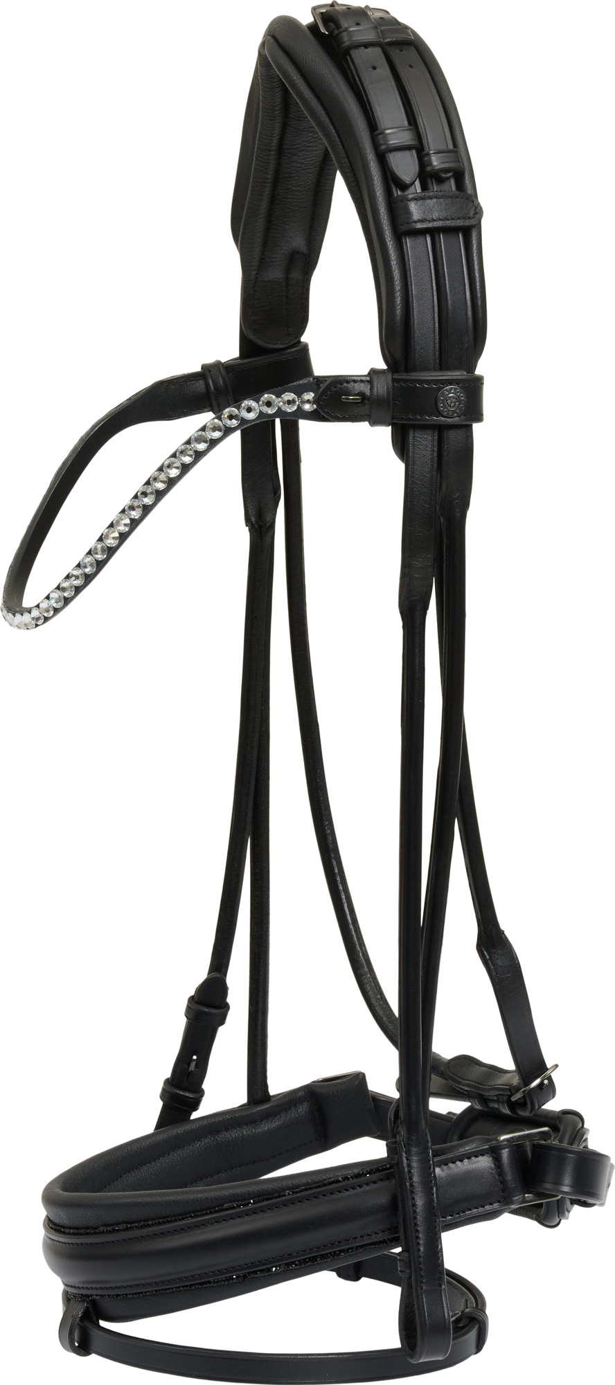 Catago SS26 Nival 26.1 bridle