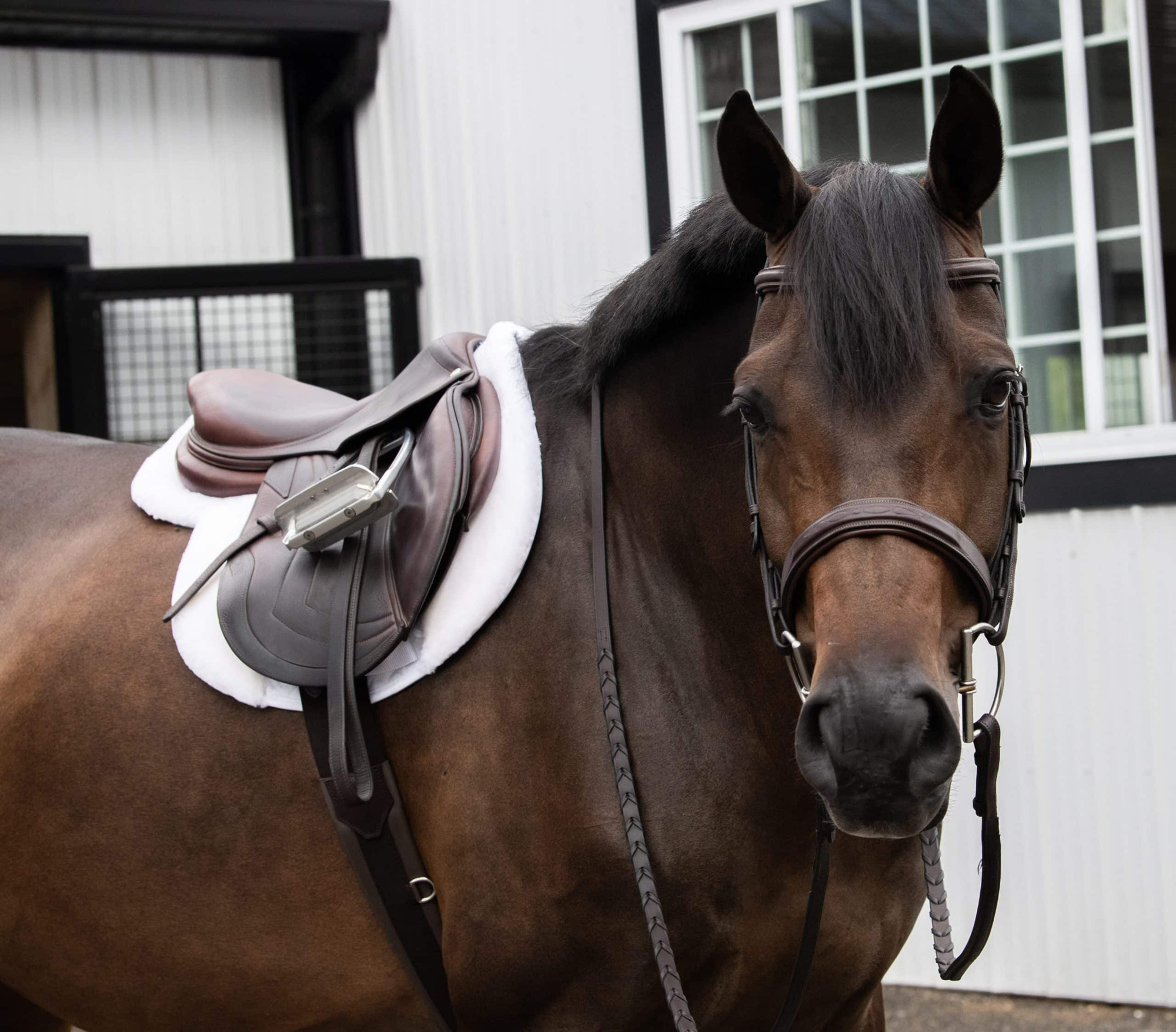 ThinLine Contour Hunter Saddle Pad